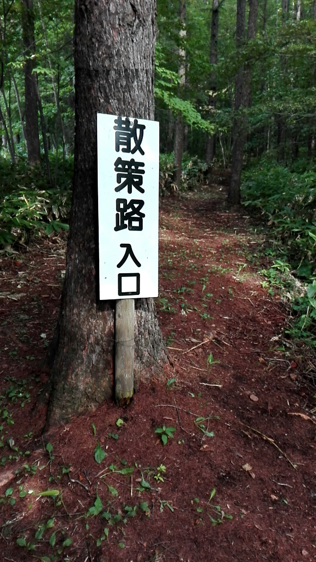 15年09月06日北広島キャンプ場 (6).JPG